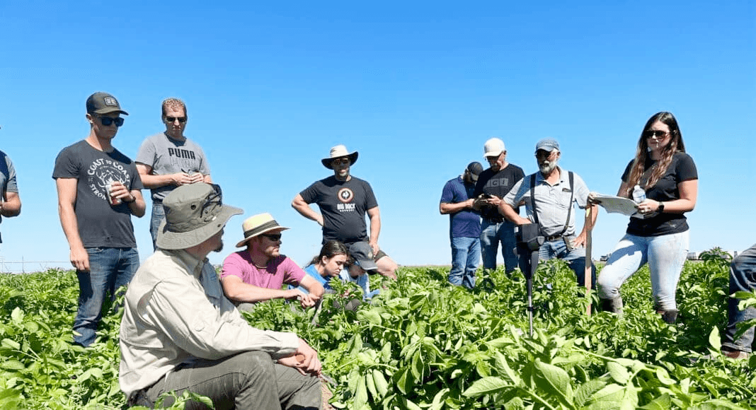 Indijio team in nature
