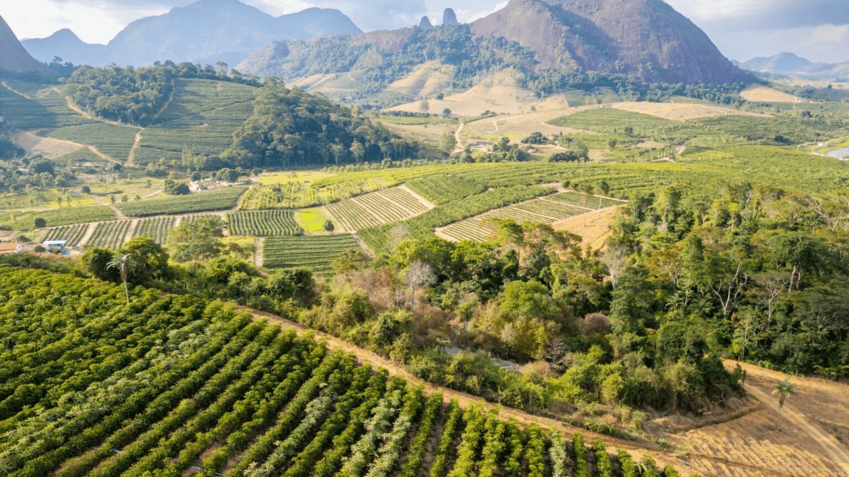 Indijio Farms & Academy