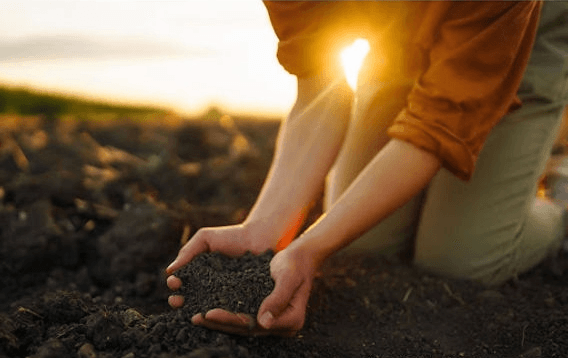 Living commitment to regeneration