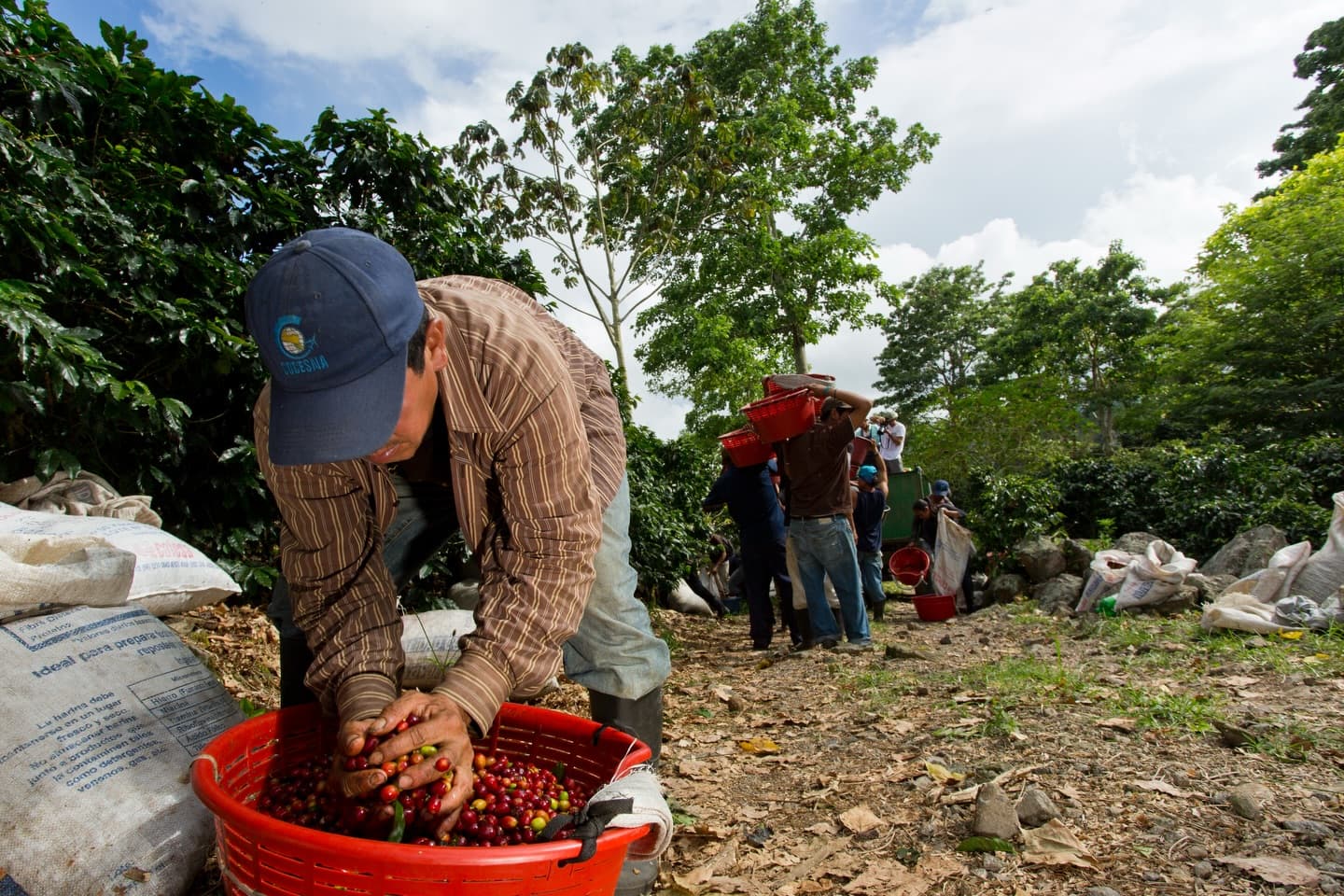 Aquiares immersion image 2